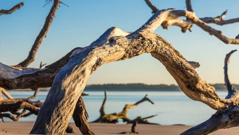 Top 7 Family-Friendly Activities at Little Talbot Island for an Unforgettable Getaway