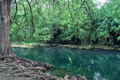 The Grand Adventure: 10 Unforgettable Things to Do in San Marcos