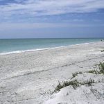 Sanibel Island Beach: Your Gateway to Beach Bliss and Sun-Kissed Memories