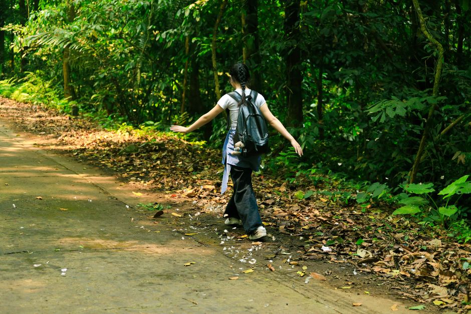 Exploring nature on a forest trail in Ninh Bình, Vietnam. Perfect for adventure enthusiasts.