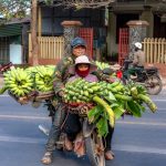 Budget Backpacking Southeast Asia 2026: Budget Backpacking Southeast Asia in 2026: Still Worth It?