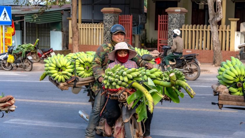 Budget Backpacking Southeast Asia 2026: Budget Backpacking Southeast Asia in 2026: Still Worth It?