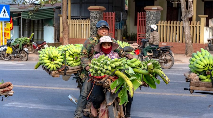 Budget Backpacking Southeast Asia 2026: Budget Backpacking Southeast Asia in 2026: Still Worth It?