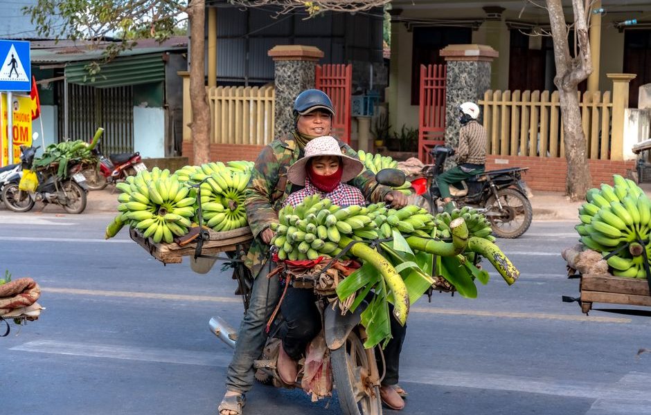 Budget Backpacking Southeast Asia 2026: Budget Backpacking Southeast Asia in 2026: Still Worth It?