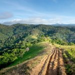 Costa Rica Dry Season: My 2026 Rainforest-to-Beach Route