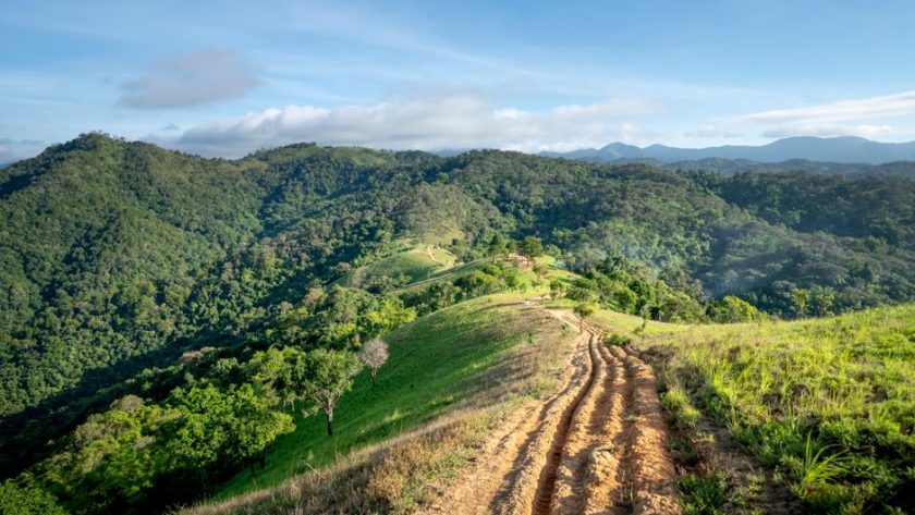 Costa Rica Dry Season: My 2026 Rainforest-to-Beach Route