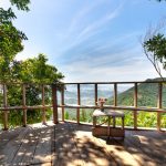 Costa Rica Treehouse Stays: 5 Bookable Rooms for 2026
