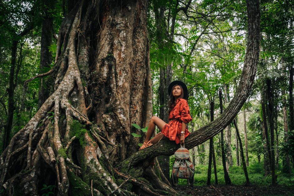 A woman in a red dress sits on a tree branch, gazing up in a lush forest environment.
