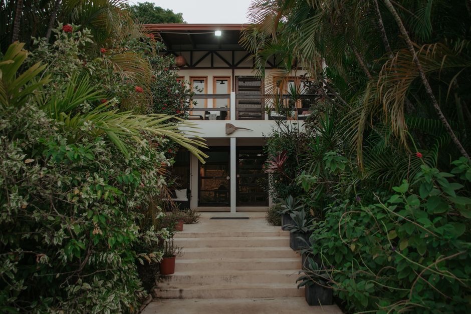 Charming Costa Rica hotel entrance framed by lush tropical plants, inviting ambiance.