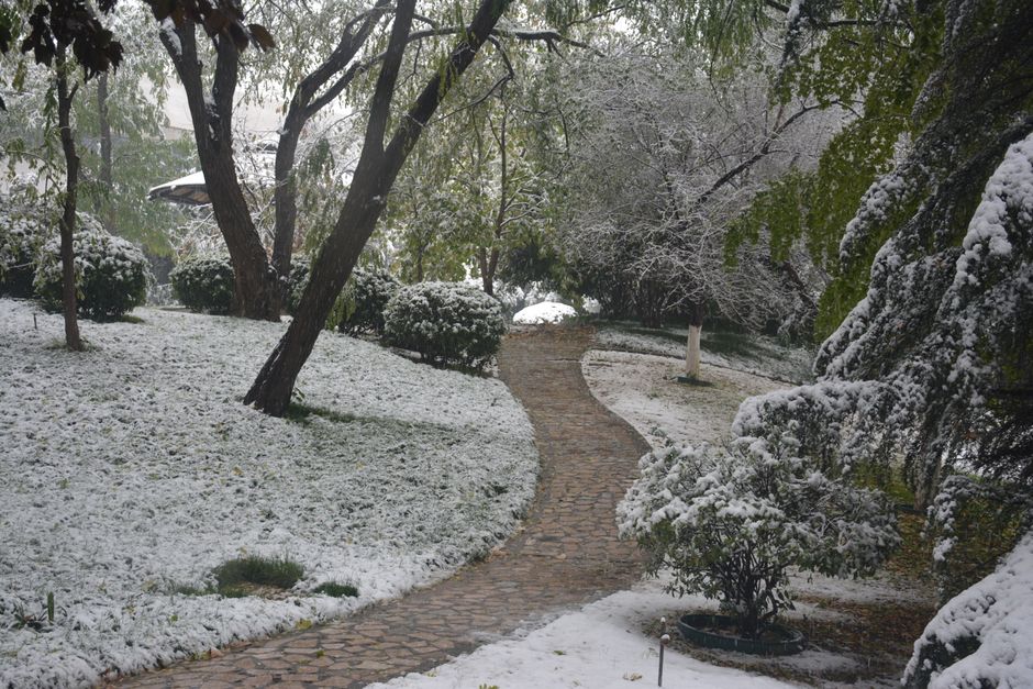 A serene snow-covered park with a winding pathway during winter.