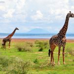 Best Attractions in Tanzania