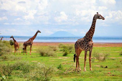 Best Attractions in Tanzania