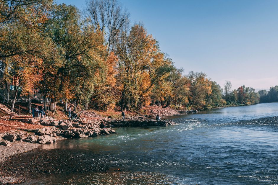 Serene autumn scene with vibrant foliage along a tranquil riverbank, perfect for nature enthusiasts.