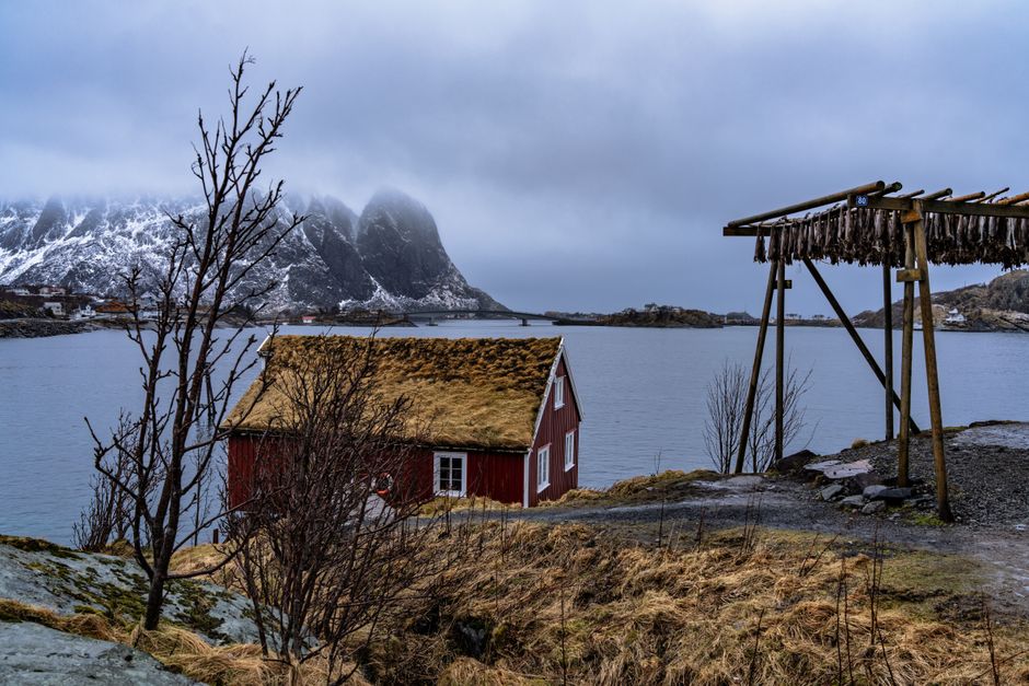 Serene winter landscape of Nordland, featuring a red house by the fjord with snowy mountains.