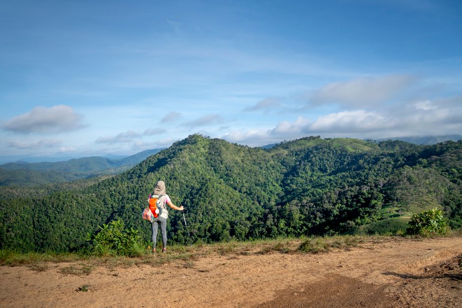 Back view of unrecognizable female hiker in casual clothes with backpack and trekking pole recreating and admiring amazing mountain view on sunny day