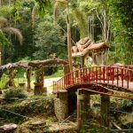 Visiting Chiang Mai in the Cool Season: Pick the Right Weeks