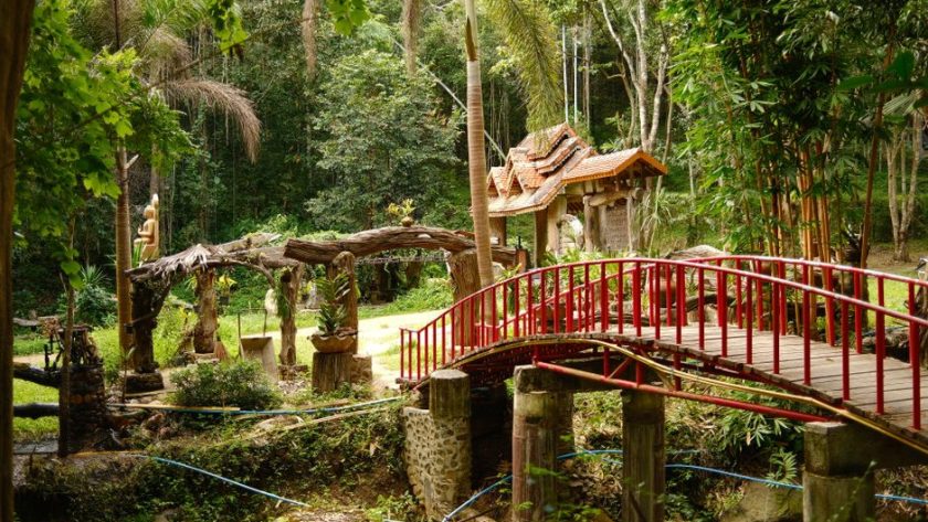 Visiting Chiang Mai in the Cool Season: Pick the Right Weeks